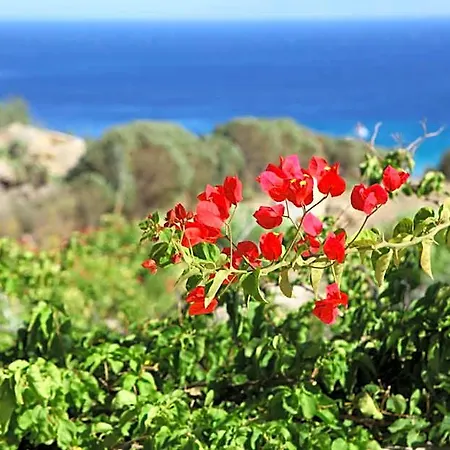 Nama Otel Super Paradise Beach (Mykonos)